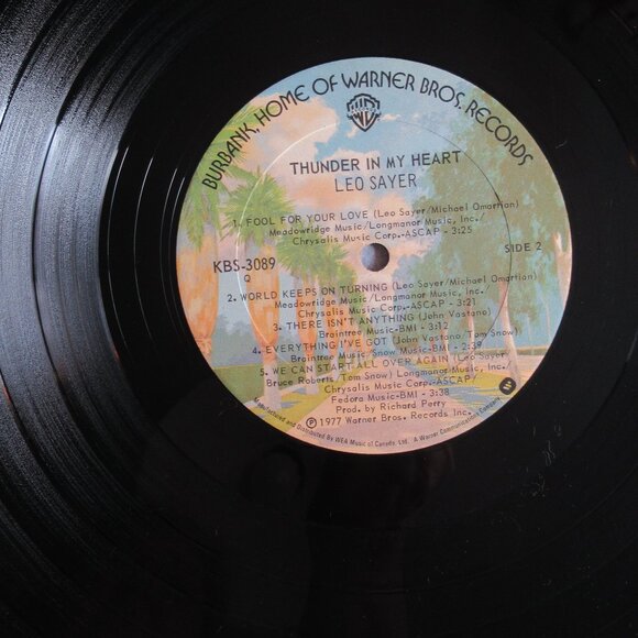 Leo Sayer, Thunder in My Heart, plus bonus record, Vintage, Vinyl, 70s - Picture 5 of 13